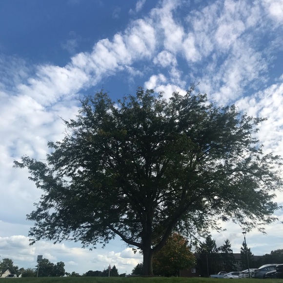 Meet your Posher, Dat - Picture 1 of 1